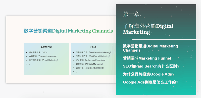 谷歌广告投放高级课：50 节系统课程掌握 Google Ads 全流程运营