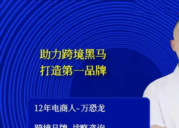 跨境品牌亿级卖家增长战略：摆脱低价内卷，打造高客单爆款课程指南跨境课程-外贸教程-精品网课-电商运营课库课堂