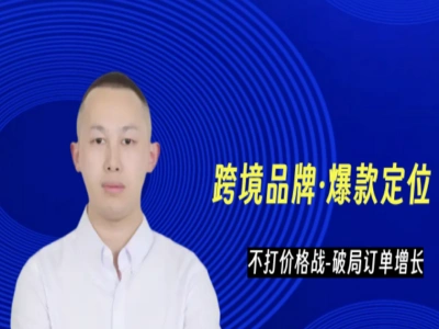 恐龙跨境：不打价格战 – 高转化亚马逊 / 独立站 / Temu/TK 等多平台运营课程详解跨境课程-外贸教程-精品网课-电商运营课库课堂