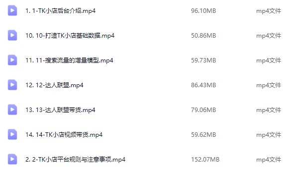 蕾蕾聊跨境：TikTok店铺运营赚钱实战课程（13节课程）