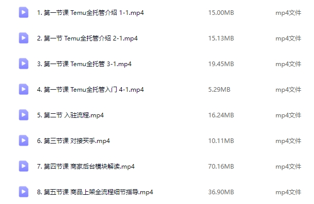 TEMU跨境电商运营大师班：AI赋能跨境电商赚钱实战课（42节课程）