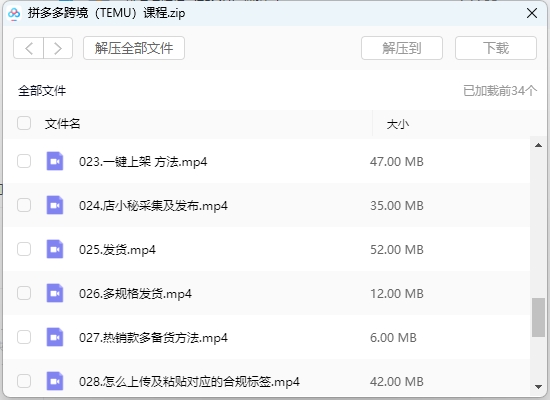 大麦电商拼多多跨境（TEMU）0-1 爆品开发全流程课程：开店运营实战指南