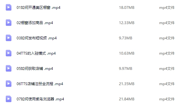 一群黑马 62 节 TikTok 全套视频课程：从入门到进阶的跨境电商运营指南