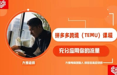 大麦电商拼多多跨境（TEMU）0-1 爆品开发全流程课程：开店运营实战指南跨境课程-外贸教程-精品网课-电商运营课库课堂