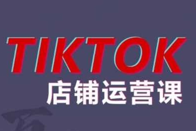 蕾蕾聊跨境：TikTok店铺运营赚钱实战课程（13节课程））跨境课程-外贸教程-精品网课-电商运营课库课堂