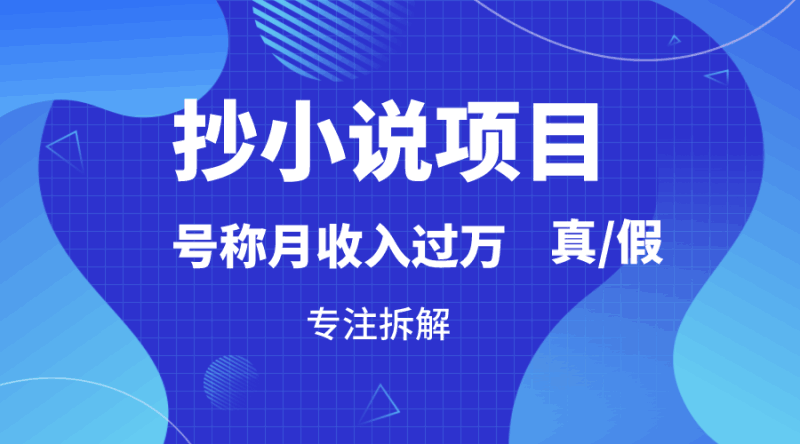 抄小说项目，号称月入过万，到底是否真实，能不能做，详细拆解跨境课程-外贸教程-精品网课-电商运营课库课堂