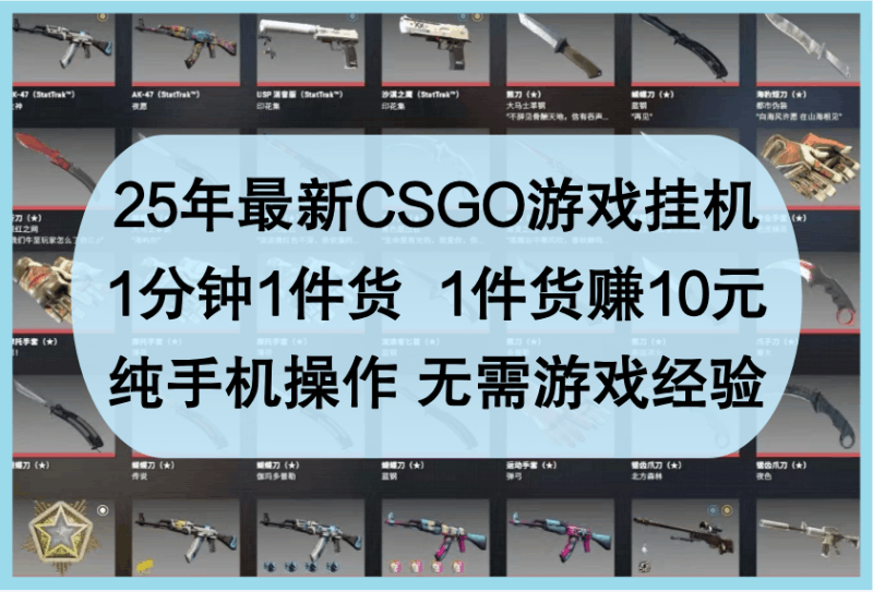 25年最新CSGO游戏挂机，1分钟1件货，1件货赚10元，纯手机操作，无需游戏经验跨境课程-外贸教程-精品网课-电商运营课库课堂