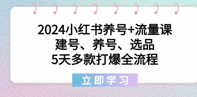 2024小红书养号+流量课：建号、养号、选品，5天多款打爆全流程跨境课程-外贸教程-精品网课-电商运营课库课堂