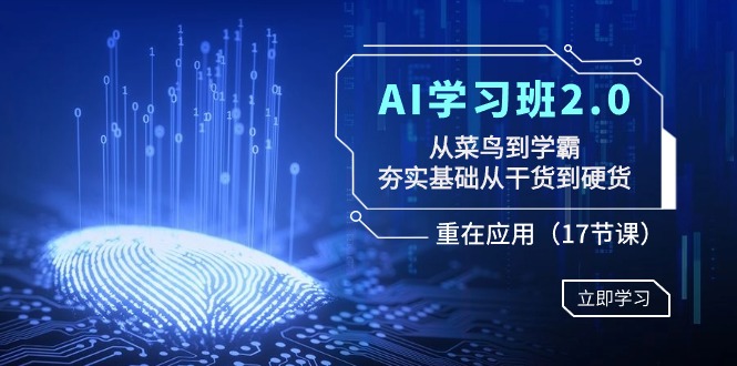 AI学习班2.0：从菜鸟到学霸，夯实基础从干货到硬货，重在应用（17节课）跨境课程-外贸教程-精品网课-电商运营课库课堂
