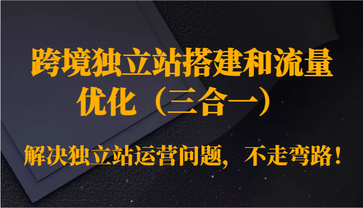 跨境独立站搭建和流量优化（三合一）解决独立站运营问题，不走弯路！跨境课程-外贸教程-精品网课-电商运营课库课堂