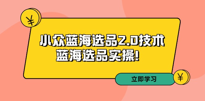 拼多多培训第33期：小众蓝海选品2.0技术-蓝海选品实操跨境课程-外贸教程-精品网课-电商运营课库课堂