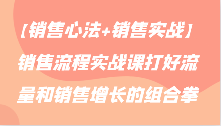 【销售心法+销售实战】销售流程实战课打好流量和销售增长的组合拳跨境课程-外贸教程-精品网课-电商运营课库课堂
