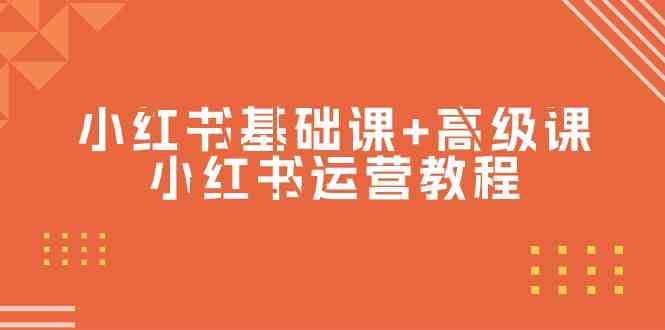 小红书基础课+高级课-小红书运营教程（53节视频课）跨境课程-外贸教程-精品网课-电商运营课库课堂