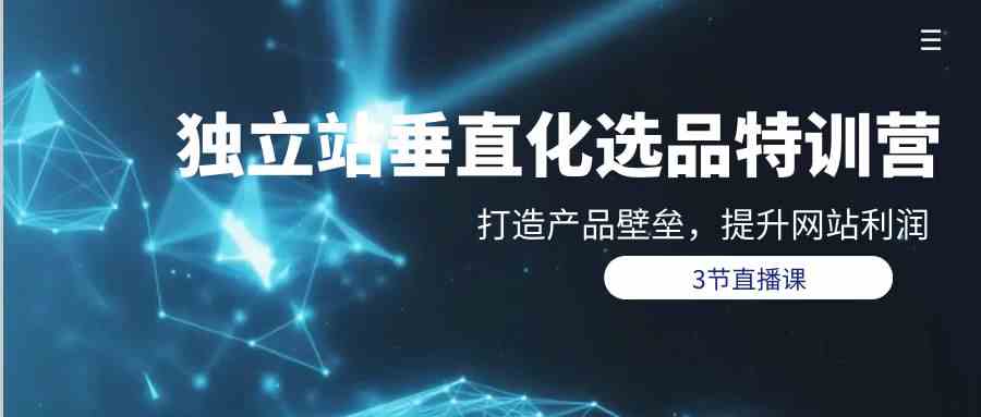 独立站垂直化选品训练营，打造产品壁垒，提升网站利润（3节直播课）跨境课程-外贸教程-精品网课-电商运营课库课堂
