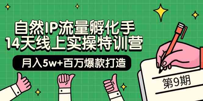 自然IP流量孵化手14天线上实操特训营【第9期】月入5w+百万爆款打造 (74节)跨境课程-外贸教程-精品网课-电商运营课库课堂