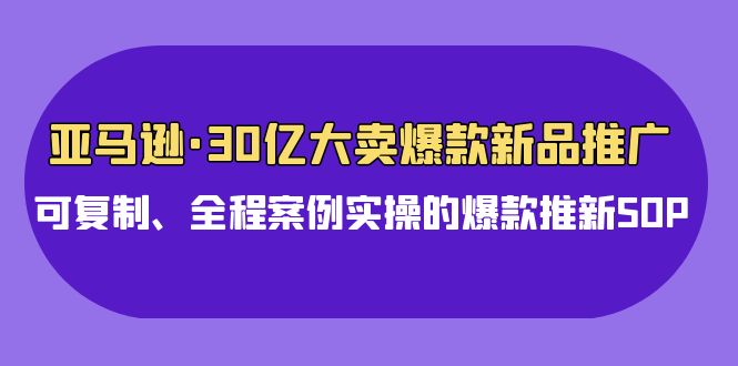 亚马逊30亿大卖爆款新品推广，可复制、全程案例实操的爆款推新SOP跨境课程-外贸教程-精品网课-电商运营课库课堂