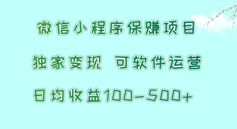 微信小程序保赚项目，日均收益100~500+，独家变现，可软件运营跨境课程-外贸教程-精品网课-电商运营课库课堂