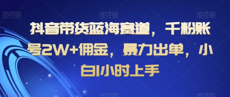抖音带货蓝海赛道，千粉账号2W+佣金，暴力出单，小白1小时上手【揭秘】跨境课程-外贸教程-精品网课-电商运营课库课堂