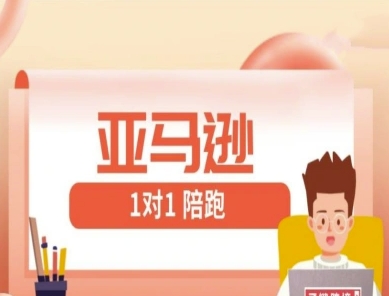 亚马逊1对1陪跑课(FBA/FBM精铺)跨境亚马逊教程跨境课程-外贸教程-精品网课-电商运营课库课堂
