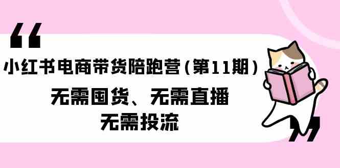 小红书电商带货陪跑营(第11期)无需囤货、无需直播、无需投流跨境课程-外贸教程-精品网课-电商运营课库课堂