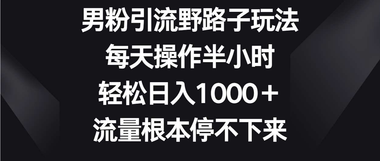 男粉引流野路子玩法，每天操作半小时轻松日入1000＋，流量根本停不下来跨境课程-外贸教程-精品网课-电商运营课库课堂