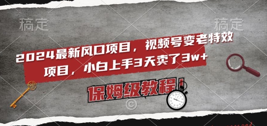 2024最新风口项目，视频号变老特效项目，电脑小白上手3天卖了3w+，保姆级教程【揭秘】跨境课程-外贸教程-精品网课-电商运营课库课堂