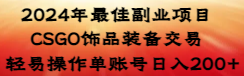 2024年最佳副业项目 CSGO饰品装备交易 轻易操作单账号日入200+跨境课程-外贸教程-精品网课-电商运营课库课堂