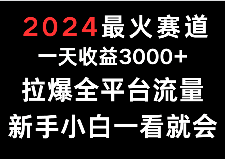 2024最火赛道，一天收一3000+.拉爆全平台流量，新手小白一看就会跨境课程-外贸教程-精品网课-电商运营课库课堂
