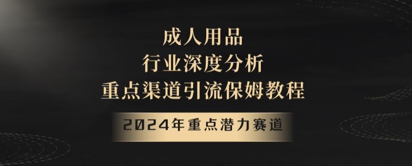 2024年重点潜力赛道，成人用品行业深度分析，重点渠道引流保姆教程【揭秘】跨境课程-外贸教程-精品网课-电商运营课库课堂