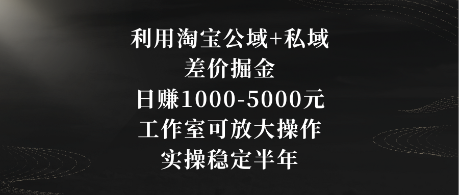 利用淘宝公域+私域差价掘金，日赚1000-5000元，工作室可放大操作，实操…跨境课程-外贸教程-精品网课-电商运营课库课堂