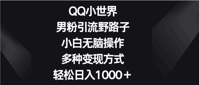 QQ小世界男粉引流野路子，小白无脑操作，多种变现方式轻松日入1000＋跨境课程-外贸教程-精品网课-电商运营课库课堂