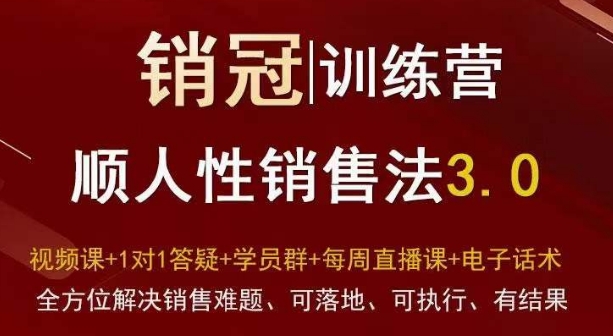 爆款！销冠训练营3.0之顺人性销售法，全方位解决销售难题、可落地、可执行、有结果跨境课程-外贸教程-精品网课-电商运营课库课堂