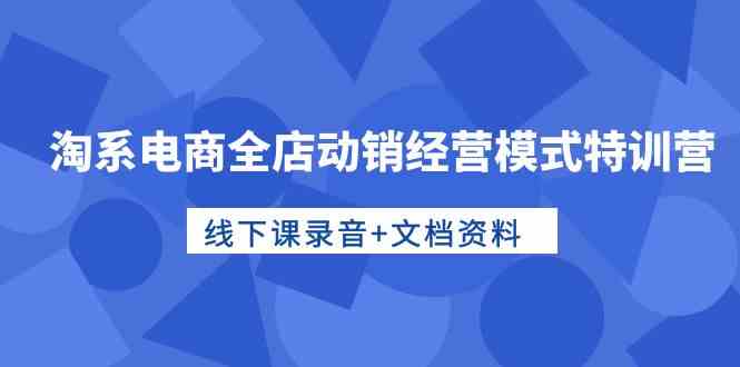 淘系电商全店动销经营模式特训营，线下课录音+文档资料跨境课程-外贸教程-精品网课-电商运营课库课堂