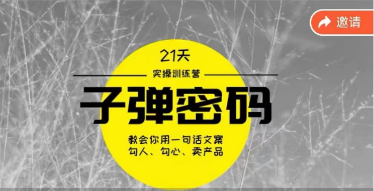 《子弹密码训练营》用一句话文案勾人勾心卖产品，21天学到顶尖文案大师策略和技巧跨境课程-外贸教程-精品网课-电商运营课库课堂
