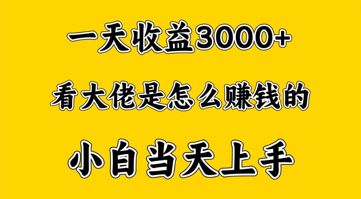 一天赚3000多，大佬是这样赚到钱的，小白当天上手，穷人翻身项目跨境课程-外贸教程-精品网课-电商运营课库课堂