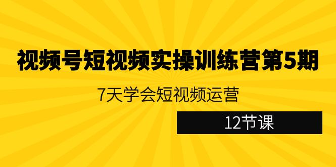 视频号短视频实操训练营第5期：7天学会短视频运营（12节课）跨境课程-外贸教程-精品网课-电商运营课库课堂