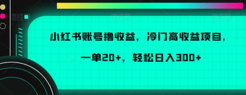 小红书账号撸收益，冷门高收益项目，一单20+，轻松日入300+跨境课程-外贸教程-精品网课-电商运营课库课堂