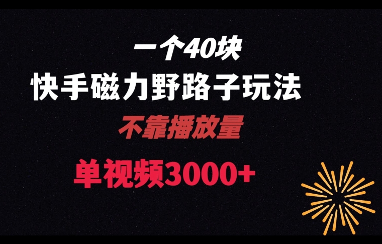 一个40块，快手联合美团磁力新玩法，无视机制野路子玩法，单视频收益4位数【揭秘】跨境课程-外贸教程-精品网课-电商运营课库课堂