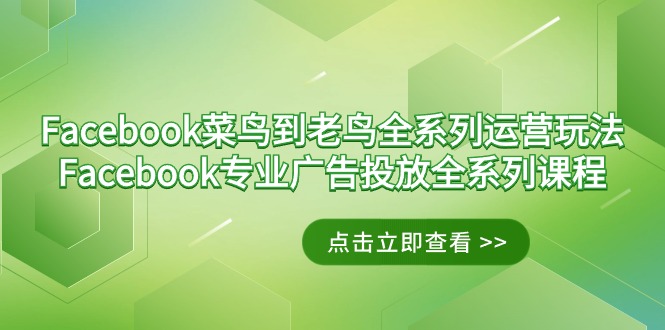Facebook-菜鸟到老鸟全系列运营玩法+Facebook-专业广告投放全系列课程跨境课程-外贸教程-精品网课-电商运营课库课堂