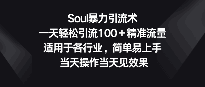 Soul暴力引流术，一天轻松引流100＋精准流量，适用于各行业，简单易上手！跨境课程-外贸教程-精品网课-电商运营课库课堂