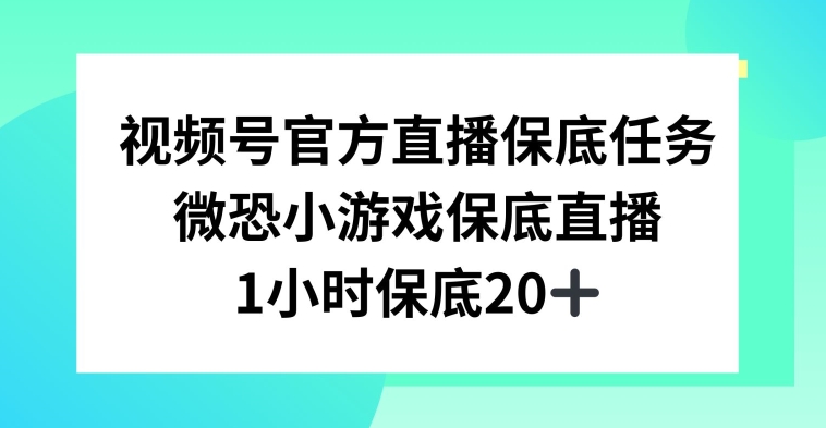 视频号直播任务，微恐小游戏，1小时20+跨境课程-外贸教程-精品网课-电商运营课库课堂