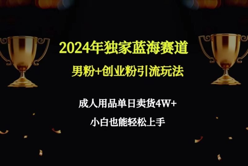 2024年独家蓝海赛道男粉+创业粉引流玩法，成人用品单日卖货4W+保姆教程跨境课程-外贸教程-精品网课-电商运营课库课堂