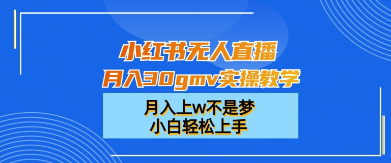 小红书无人直播月入30gmv实操教学，月入上w不是梦，小白轻松上手跨境课程-外贸教程-精品网课-电商运营课库课堂