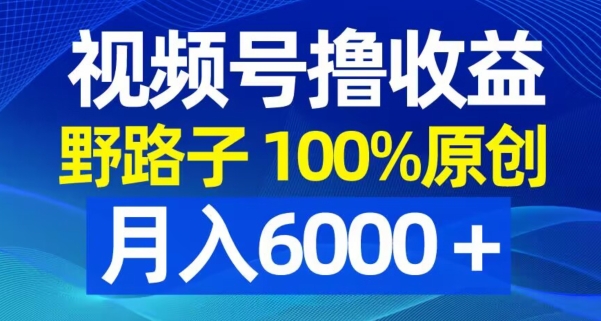 视频号野路子撸收益，100%原创，条条爆款，月入6000＋跨境课程-外贸教程-精品网课-电商运营课库课堂