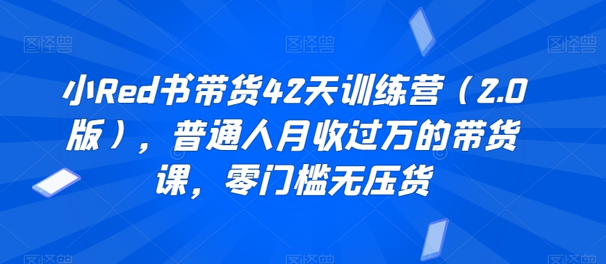 小Red书带货42天训练营（2.0版），普通人月收过万的带货课，零门槛无压货跨境课程-外贸教程-精品网课-电商运营课库课堂