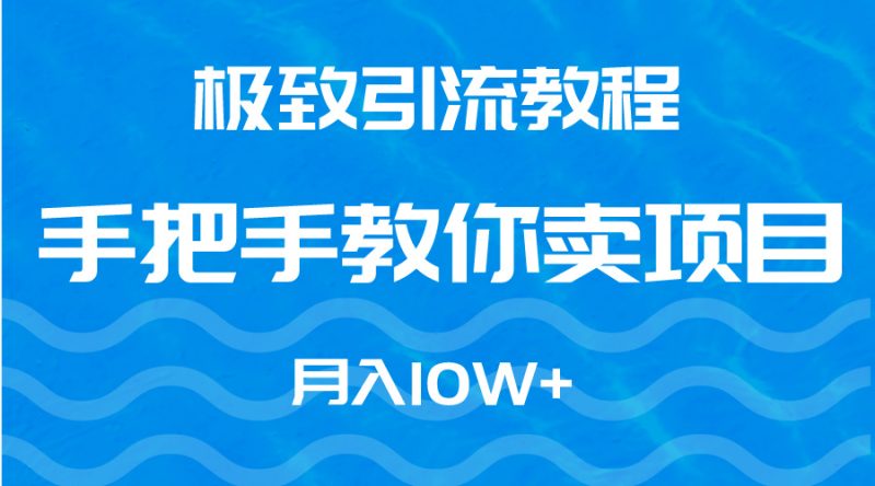 极致引流教程，手把手教你卖项目，月入10W+跨境课程-外贸教程-精品网课-电商运营课库课堂