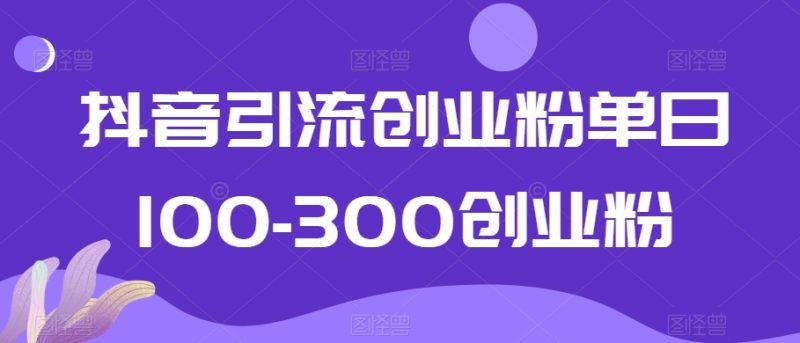 抖音引流创业粉单日100-300创业粉跨境课程-外贸教程-精品网课-电商运营课库课堂