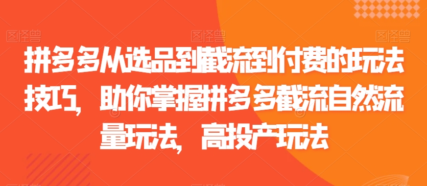 拼多多从选品到截流到付费的玩法技巧，助你掌握拼多多截流自然流量玩法，高投产玩法跨境课程-外贸教程-精品网课-电商运营课库课堂