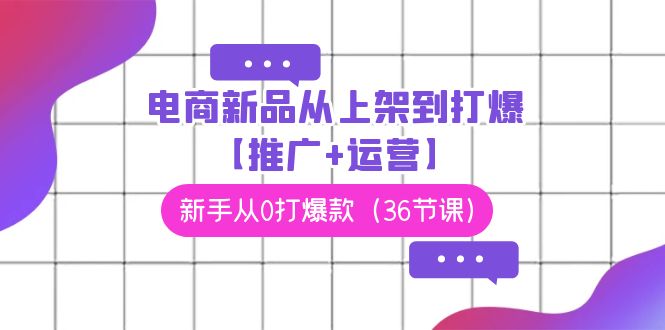 电商 新品从上架到打爆【推广+运营】，新手从0打爆款（36节课）跨境课程-外贸教程-精品网课-电商运营课库课堂