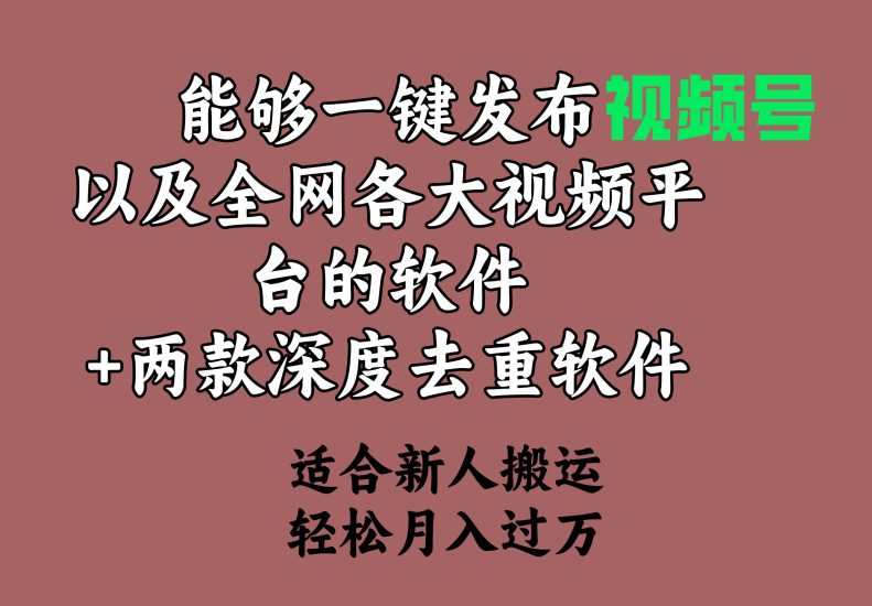 能够一键发布视频号以及全网各大视频平台的软件+两款深度去重软件 适合…跨境课程-外贸教程-精品网课-电商运营课库课堂
